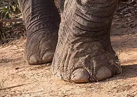 turistipercaso sud-africa-jg9r2