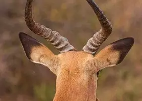turistipercaso sud-africa-jqfub