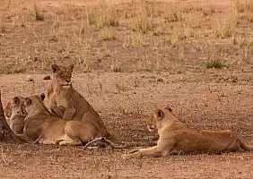 turistipercaso sud-africa-k8gav