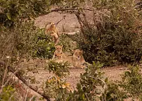 turistipercaso sud-africa-kux86