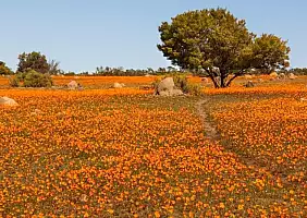turistipercaso sud-africa-nkxrf