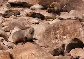 turistipercaso sud-africa-pemrz