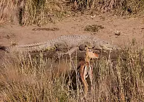 turistipercaso sud-africa-pjzfk