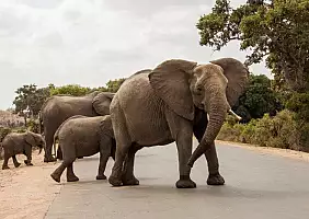 turistipercaso sud-africa-s2gqr