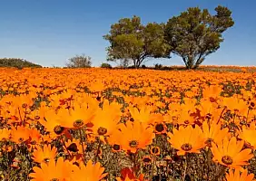 turistipercaso sud-africa-vy53h