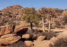 turistipercaso sud-africa-w5q5y