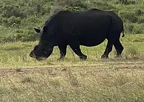 turistipercaso sud-africa-xbuvc