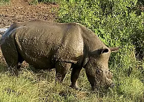 turistipercaso sud-africa-yv5bv