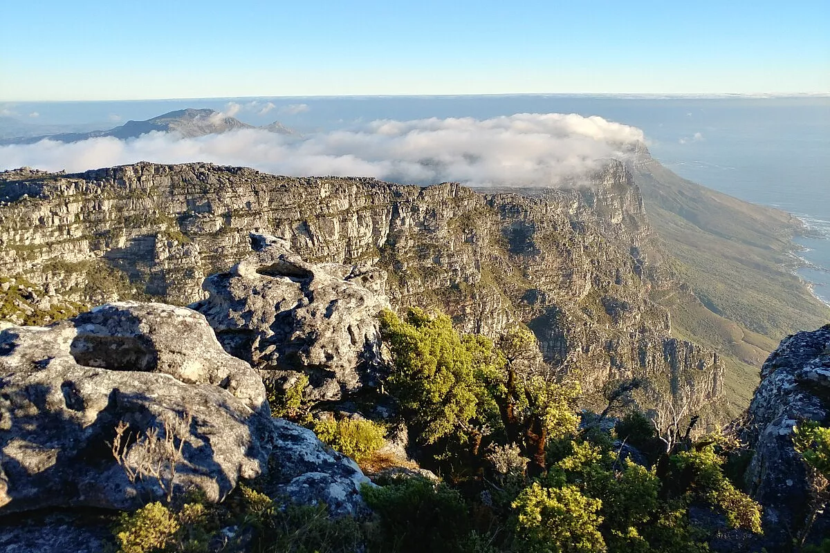 Table mountain