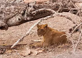 turistipercaso sud-africa-zj7d9