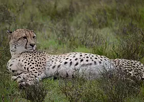 turistipercaso sudafrica-2h8hq