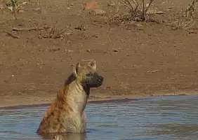 turistipercaso sudafrica-435rn