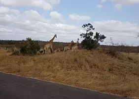 turistipercaso sudafrica-53kue