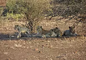 turistipercaso sudafrica-77tm1