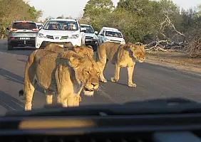turistipercaso sudafrica-7rvcr