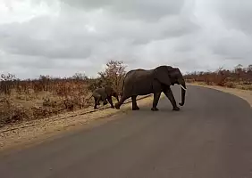 turistipercaso sudafrica-7xa74