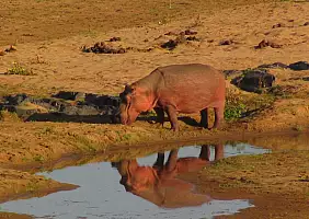 turistipercaso sudafrica-8zf4k