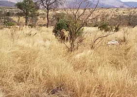 turistipercaso sudafrica-9rzma