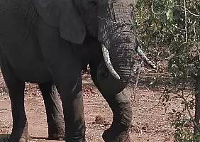 turistipercaso sudafrica-a76zu