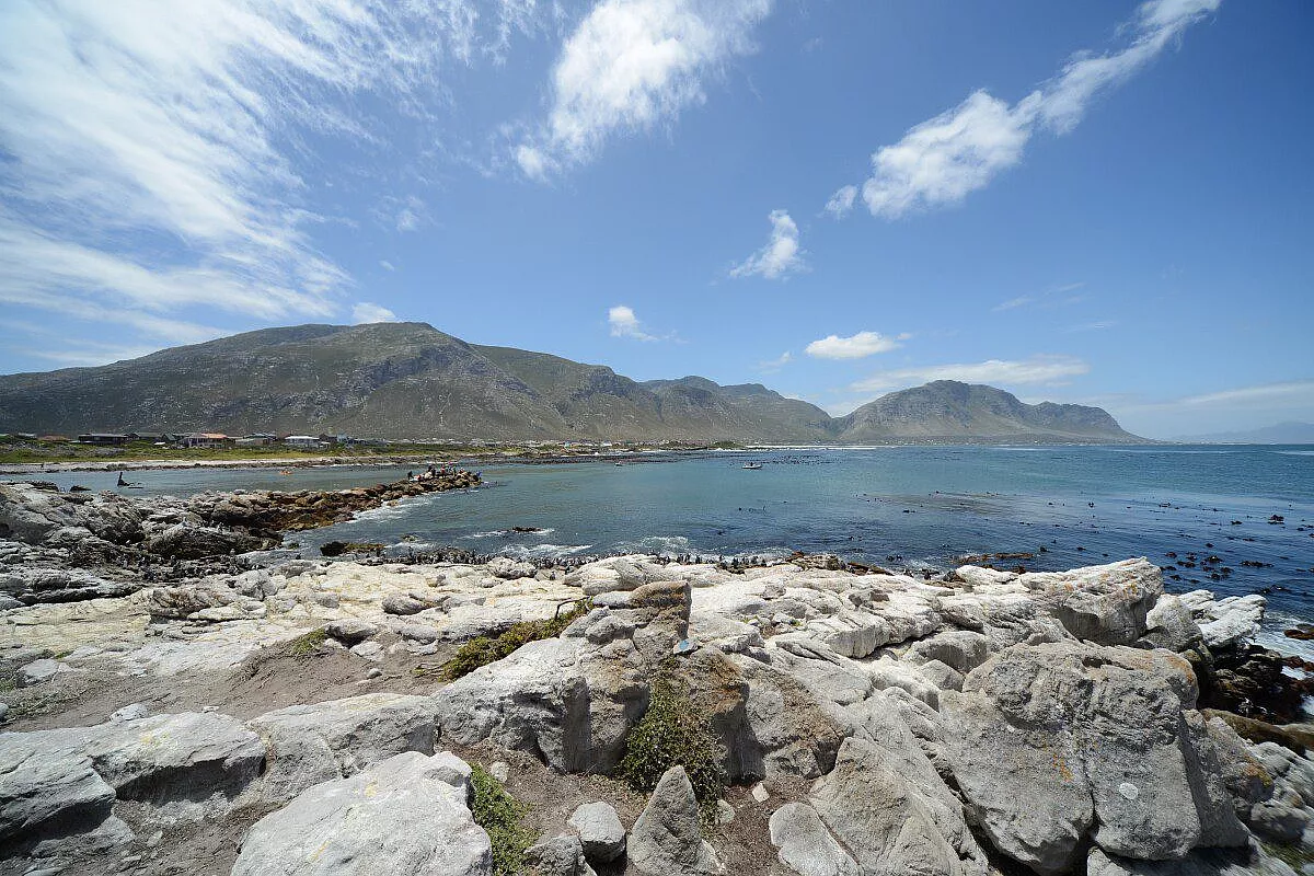 Betty's Bay