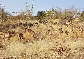 turistipercaso sudafrica-f3zes