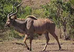 turistipercaso sudafrica-h4kcd