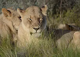 turistipercaso sudafrica-hgtah