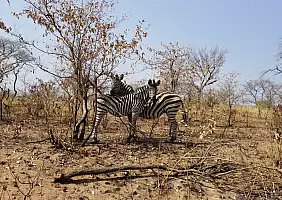 turistipercaso sudafrica-mjhfb