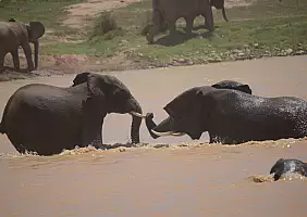 turistipercaso sudafrica-nfvhf