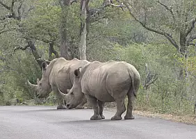 turistipercaso sudafrica-r7pry