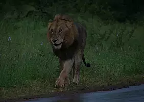 turistipercaso sudafrica-w4az9