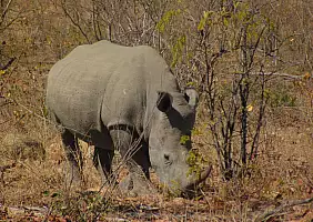 turistipercaso sudafrica-z3drm