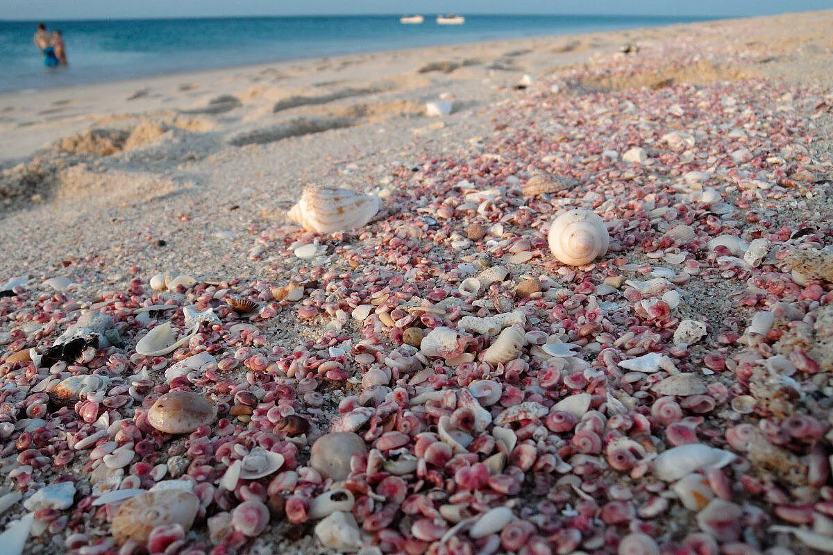 oman