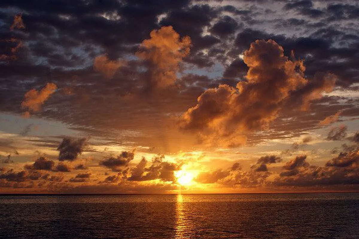 Superba Moofushi