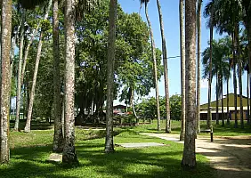 turistipercaso suriname-5je73