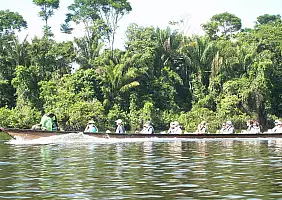 turistipercaso suriname-ma6xd