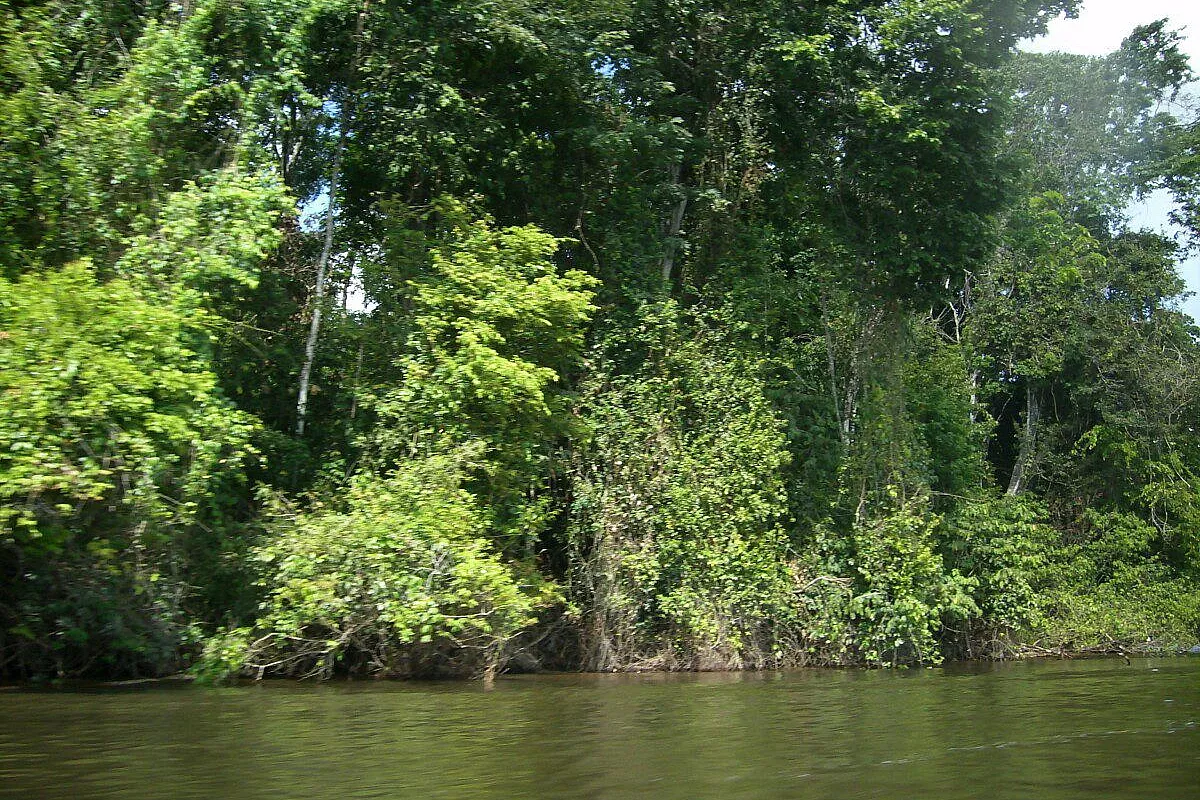 Suriname questo sconosciuto