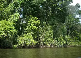 turistipercaso suriname-qa5pz
