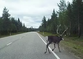 turistipercaso svezia-4zrk9