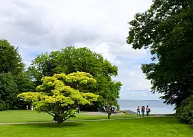 turistipercaso svezia-g8px1