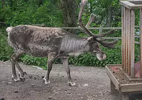 turistipercaso svezia-vzcvu