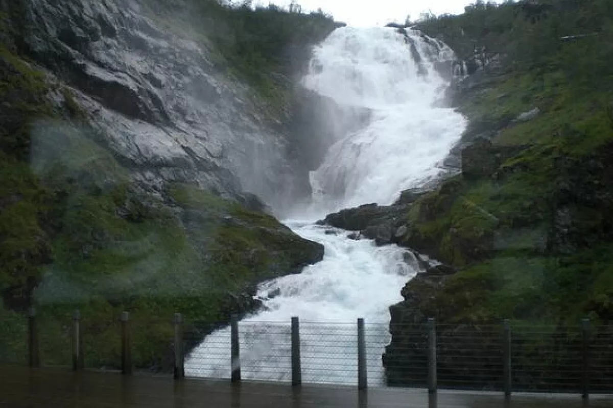 Scandinavian Summer 2009