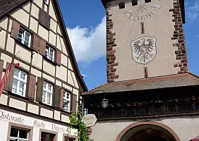 turistipercaso svizzera-3m4kw