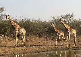 turistipercaso swaziland-ujjaw
