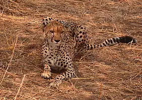 turistipercaso tanzania-412rq
