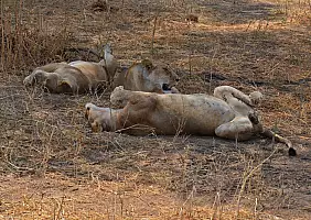 turistipercaso tanzania-41bwz