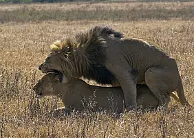 turistipercaso tanzania-41dpc