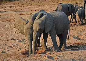 turistipercaso tanzania-525nb