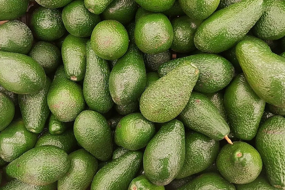 Fantasia di avocado, mango e gamberetti