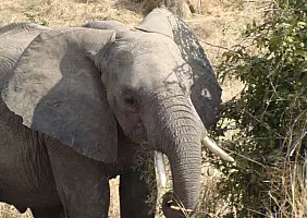 turistipercaso tanzania-7nm9e